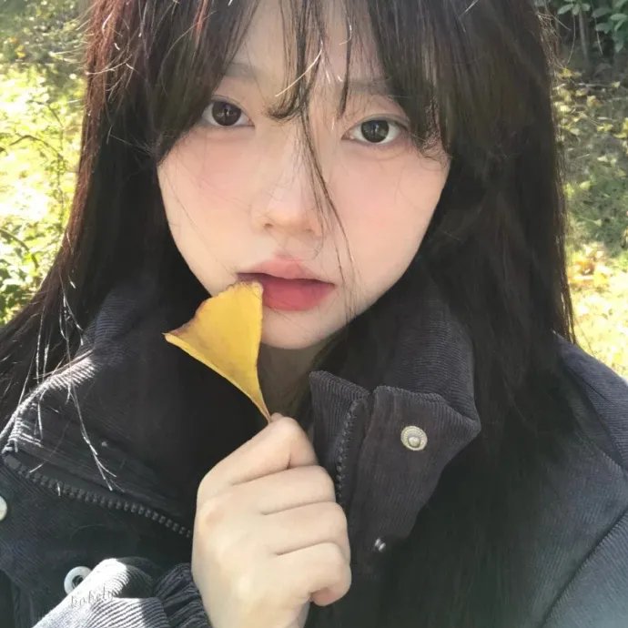 香椿